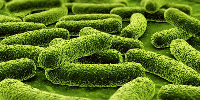 Кишечные-бактерии-способствуют-росту-рака-простаты