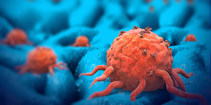Раковые-клетки-поджелудочной-железы-питаются-гиалуроновой-кислотой