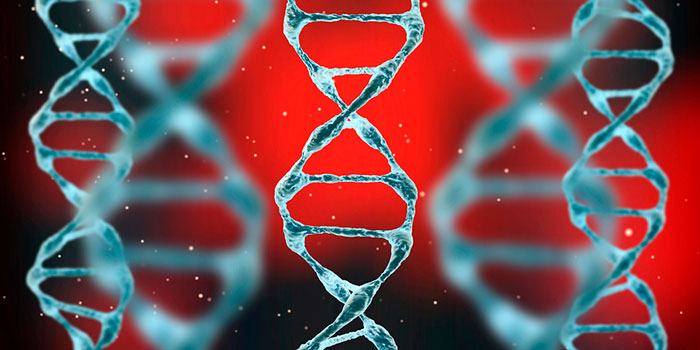 С-возрастом-в-ДНК-накапливаются-мутации