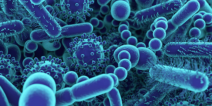 Вирусы-и-бактерии-вместе-вызывают-рак-шейки-матки