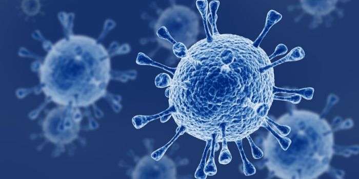 Воспаление защищает раковые клетки от вирусов