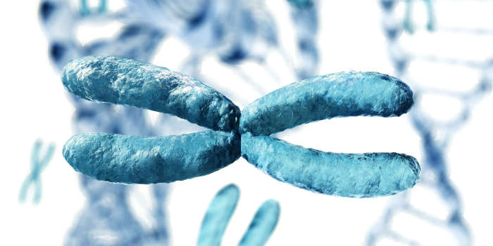 Х-хромосома может становиться неактивной при раке у мужчин