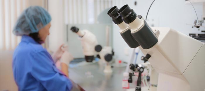 врач изучает клетки под микроскопом
