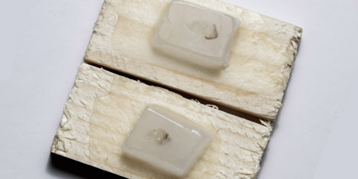 Гистологические блоки, образец ткани помещен в парафин