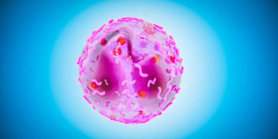 Нейтрофилы – мощнейшее оружие организма против рака: неожиданная находка ученых
