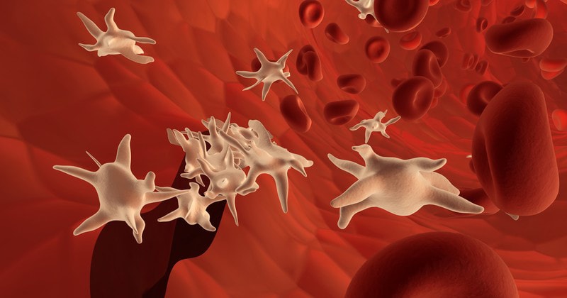 Пониженные тромбоциты при анализе крови что значит