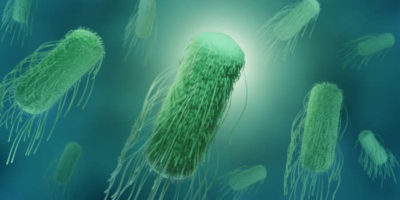 Обнаружена связь между бактериями и предраковыми изменениями в кишечнике