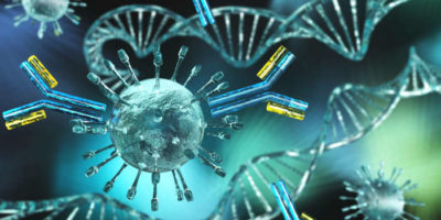 Вирус и антитело – необычная комбинация против рака толстой кишки